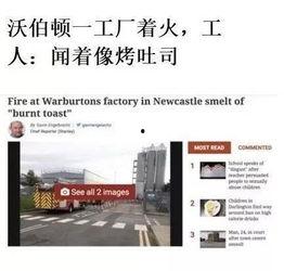 今日外网爆料新闻直播,今日热点新闻回顾  第2张